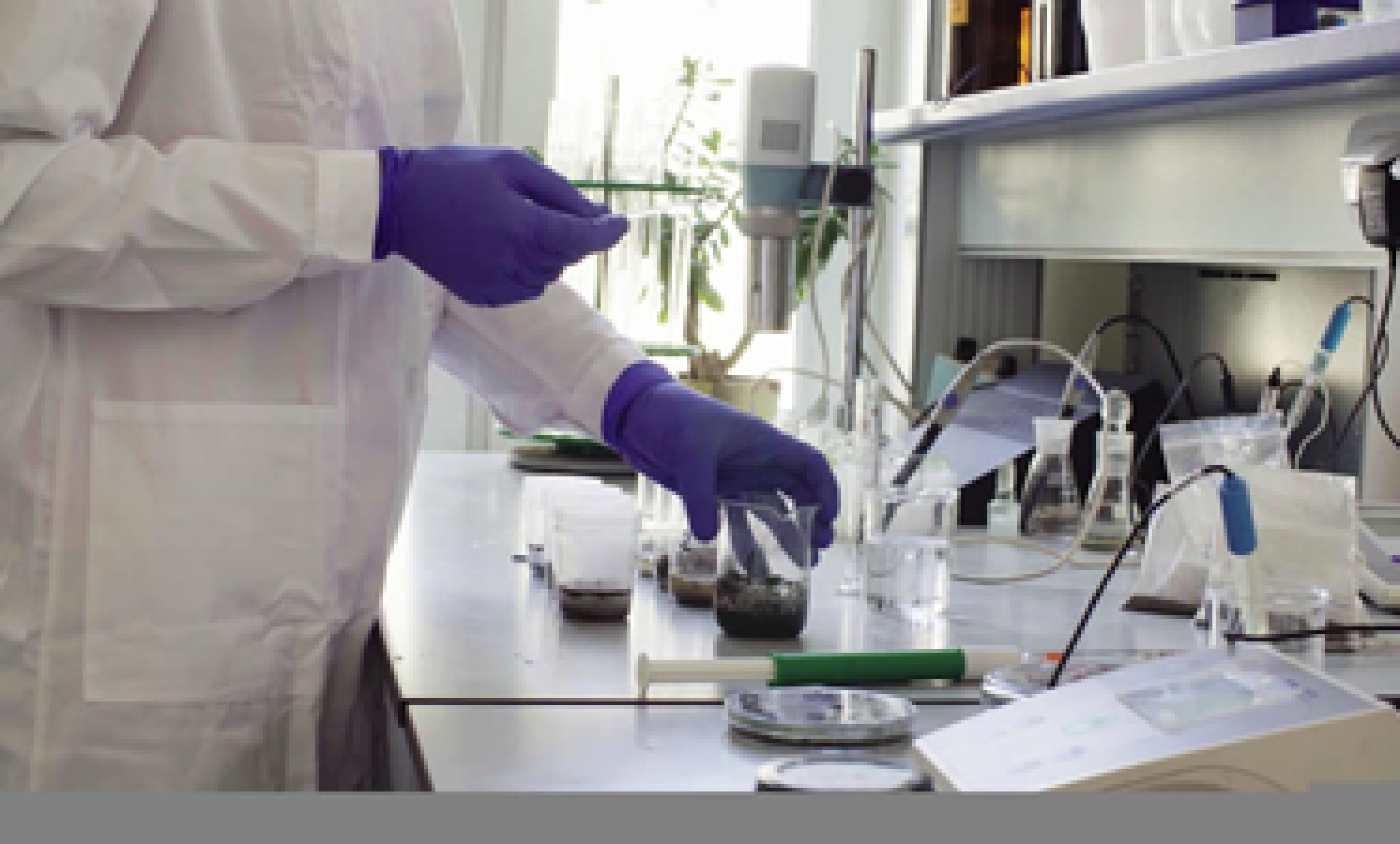 laboratorywork (1)